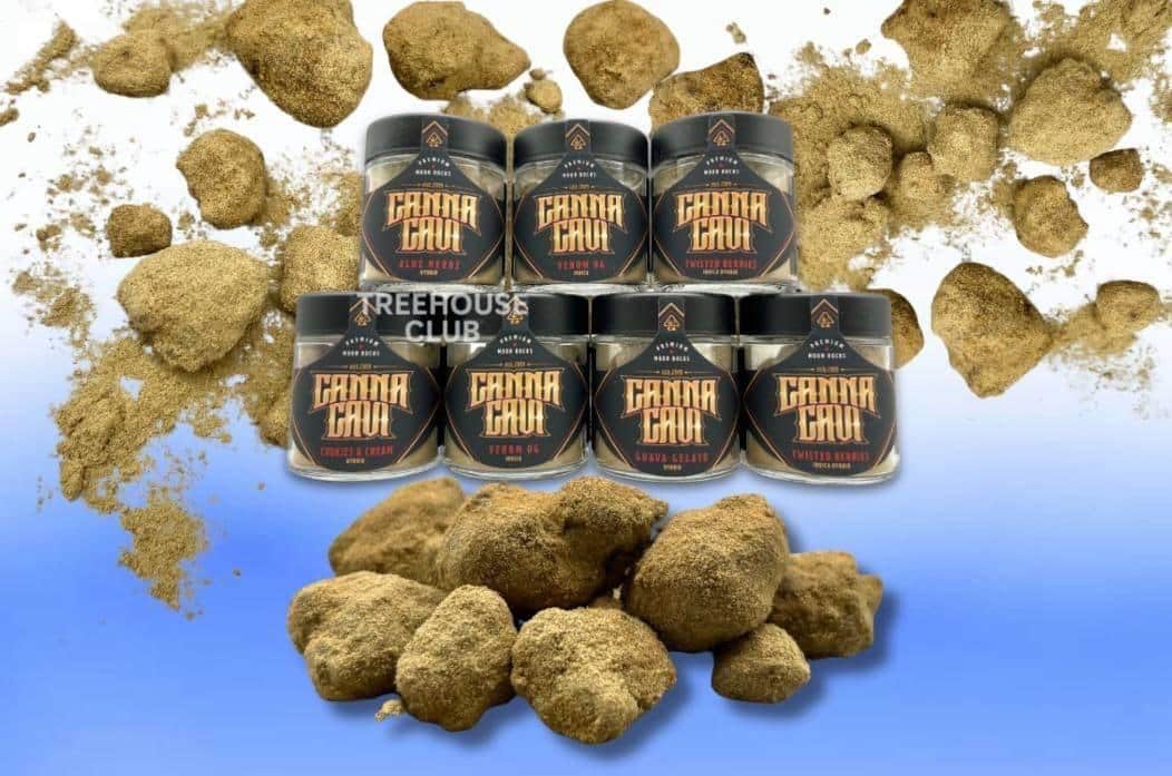 CANNA CAVI MOONROCKS
