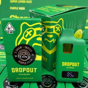 DROPOUT