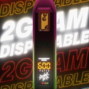 STONER STICKS 2G DISPOSABLES