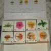 Simply sticky live resin extracts