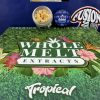 Whole Melt - Tropical EDITION