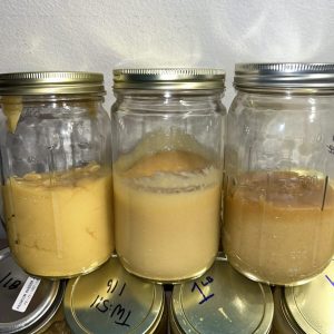 BADDER LIVE RESIN