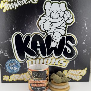 Kaws Moonrocks Exotic Edition