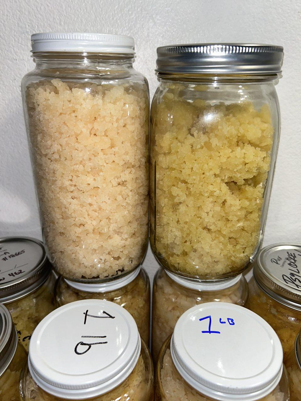 MICRO SUGARS