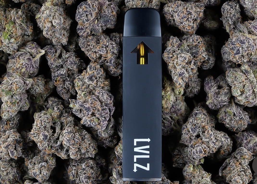 LVLZ live resin disposables