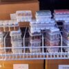 survodutide 10mg research peptide
